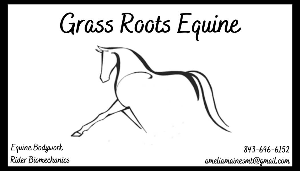 Grass Roots Equine