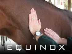 Equinox Equine Massage